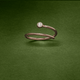 Duet Pinky Ring